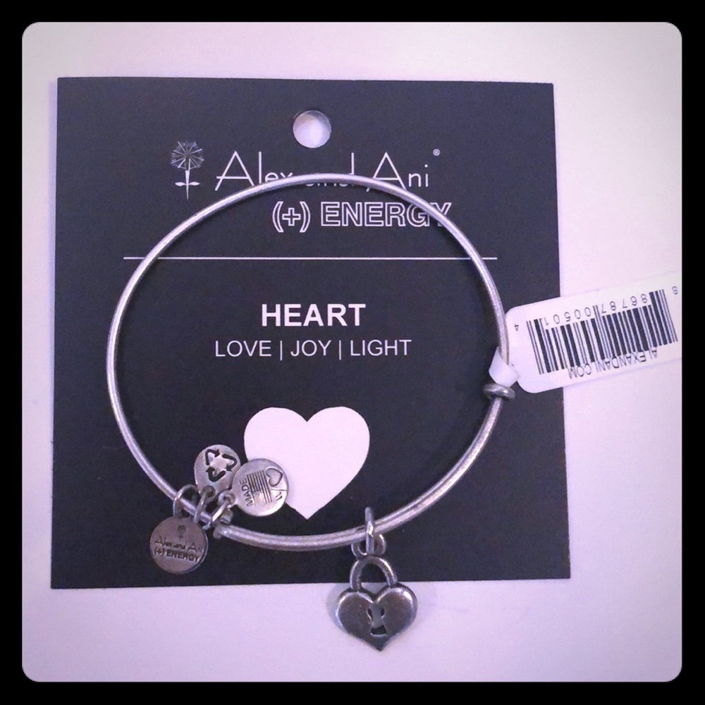 NWT Alex and Ani Silver bracelet